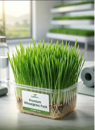 Premium Wheatgrass Pack